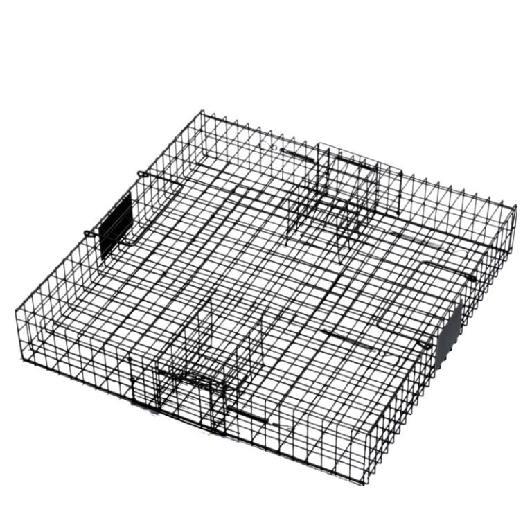 Multi-Catch Squirrel Live Cage Trap, model PC-604, main product view