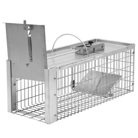 Squirrel & Rat Cage Trap, model PC-602, main product view